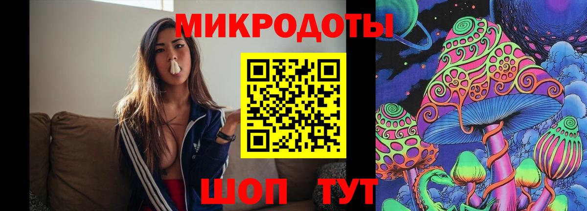 Псилоцибиновые грибы прущие грибы  Вход с VPN  Михайловка 